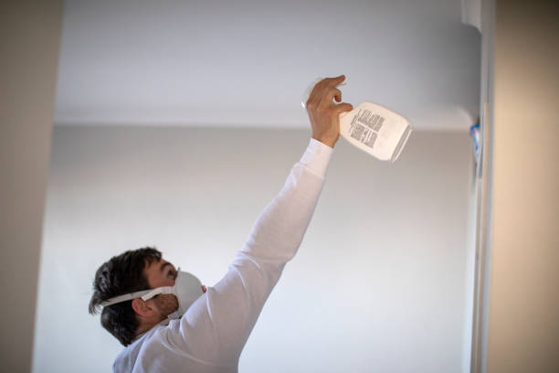 Best Crawl Space Mold Removal  in Gloucester City, NJ