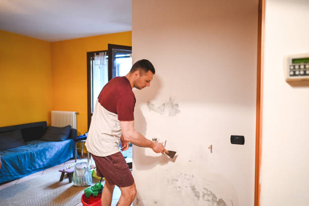 Best Fast Mold Removal  in Gloucester City, NJ